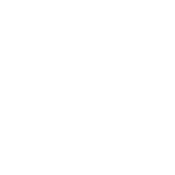 ts